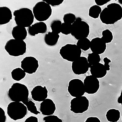 Spherical Molybdenum Powder (Agglomerated)